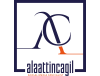 Alaattin ÇAĞIL Dijital & İzmir Sosyal Medya Ajansı
