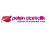 Pelşin çiçekçilik