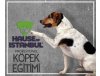 Köpek Eğitimi