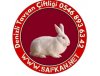 Desenli Bahçe Duvarı