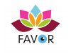 Favor Optik