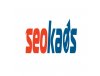 SEO Uzmanı Seokaos