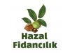 Hazal Fidancılık