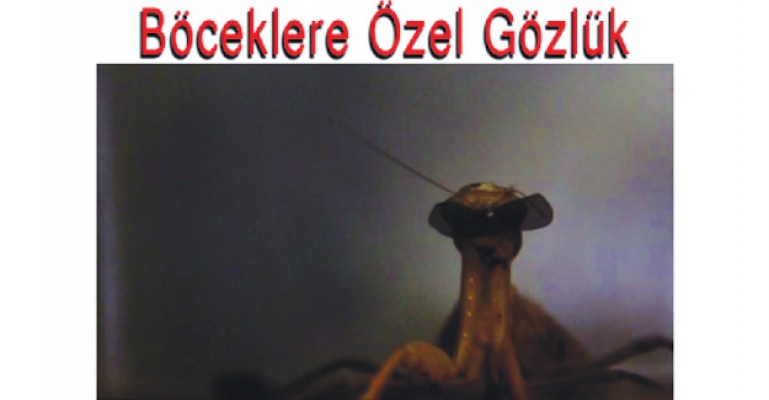 Bu gözlük böcekler için