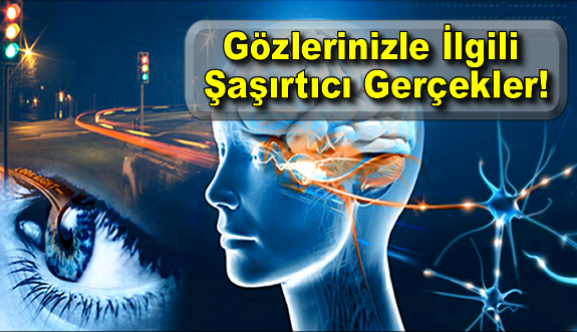 Gözlerinizle İlgili Şaşırtıcı Gerçekler!