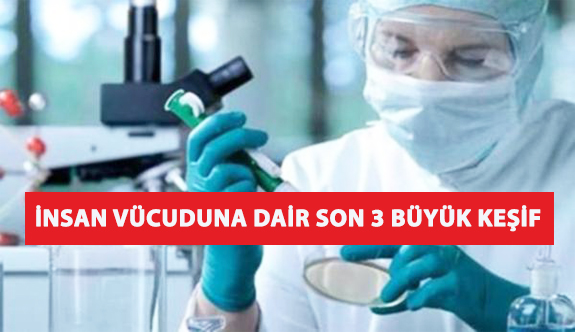 İnsan Vücuduna Dair Son 3 Büyük Keşif