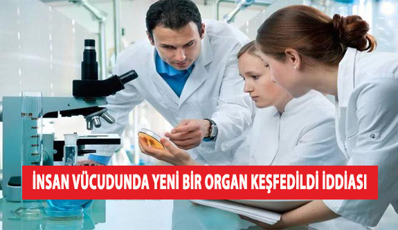 İnsan Vücudunda Yeni Bir Organ Keşfedildi İddiası