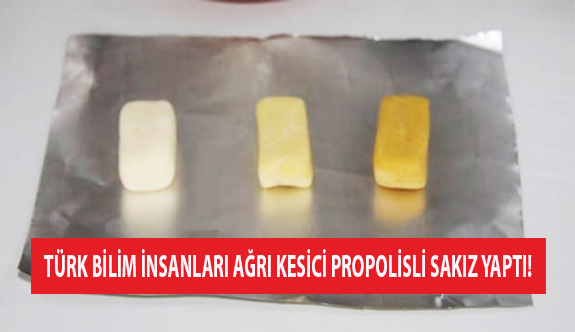 Türk Bilim İnsanları Ağrı Kesici Propolisli Sakız Yaptı!