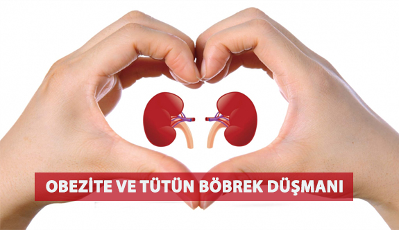 Obezite ve Tütün Böbrek Düşmanı!