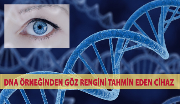 DNA Örneğinden Göz Rengini Tahmin Eden Cihaz