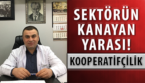 Sektörün Kanayan Yarası! KOOPERATİFÇİLİK