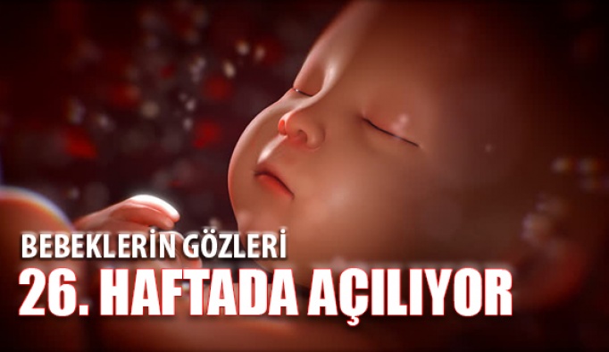 Bebeğin Göz Kapağı Hareketleri 26. Haftada Başlıyor