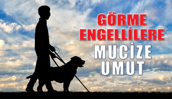 Görme Engelliler için Mucize Teknoloji