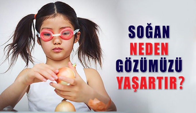 Soğan Neden Gözümüzü Yaşartır?