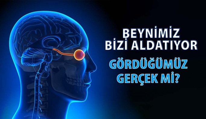 Gözümüz ve Beynimiz Bize Gerçeği mi Gösteriyor?