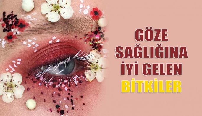 Göz Sağlığına İyi Gelen Bitkiler Nelerdir?