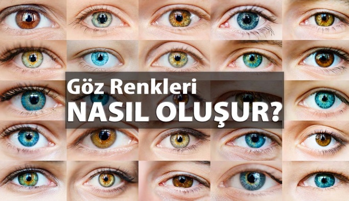 Göz Renkleri Nasıl Oluşur?