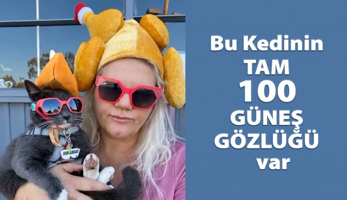 Bu Kedinin Tam 100 Güneş Gözlüğü Var