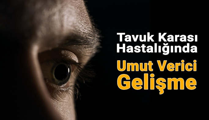 Tavuk Karası Hastalığında Umut Verici Gelişme