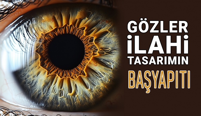 Gözleriniz İlahi Tasarımın Bir Başyapıtıdır