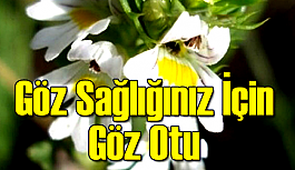 Göz sağlığınız için 'göz otu'