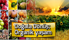 Doğala Dönüş; Organik yaşam