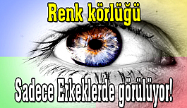 Sadece erkekler renk körlüğü yaşıyor!