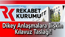 Dikey Anlaşmalara İlişkin Kılavuz Taslağı!