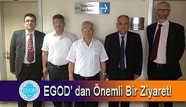 Egod Yönetimi Güneş Gözlükleri İle İlgili Görüşme Gerçekleştirdi