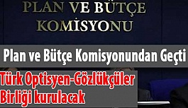 Türk Optisyen-Gözlükçüler Birliği kurulacak !