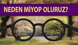 Neden Miyop Oluruz?