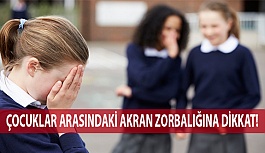 Çocuklar Arasındaki Akran Zorbalığına Dikkat!