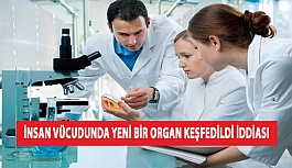 İnsan Vücudunda Yeni Bir Organ Keşfedildi İddiası