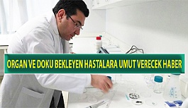 Organ ve Doku Bekleyen Hastalara Umut Verecek Haber