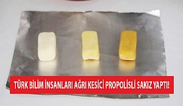 Türk Bilim İnsanları Ağrı Kesici Propolisli Sakız Yaptı!