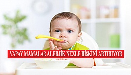 Yapay Mamalar Alerjik Nezle Riskini Artırıyor