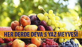 Her Derde Deva 5 Yaz Meyvesi