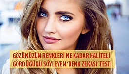 Renkleri Ne Kadar Kaliteli Gördüğünü Söyleyen ‘Renk Zekası’ Testi