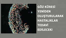 Göz Küresi Yeniden Oluşturularak Hastalıklar Tedavi Edilecek!