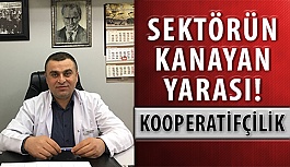 Sektörün Kanayan Yarası! KOOPERATİFÇİLİK