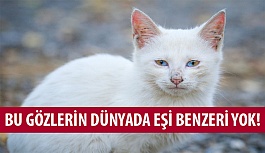 Bu Gözlerin Dünyada Eşi Benzeri Yok!