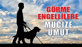 Görme Engelliler için Mucize Teknoloji