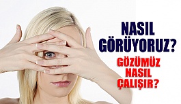 Gözümüz Nasıl Görüyor? Görme Olayı Nasıl Gerçekleşiyor?