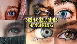 Dünya Genelinde Göz Rengi Dağılımı