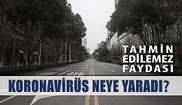 Koronovirüsün Tahmin Edilemez Faydası