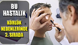 Bu Hastalık Körlük Nedenlerinde 2. Sırada