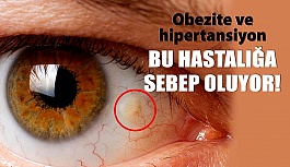 Obezite Ve Hipertansiyon ‘Sarı Nokta’ Sebebi