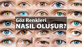 Göz Renkleri Nasıl Oluşur?