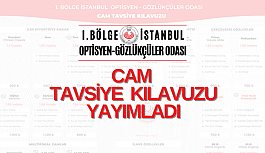 IOGO Cam Tavsiye Kılavuzu Yayımladı