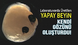 Yapay Beyin Kendi Göz Yapısını Oluşturdu!